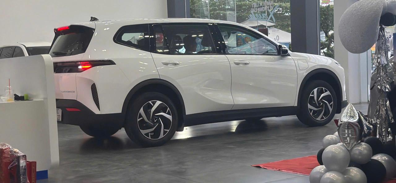 Thuê xe VinFast Limo Green 2026 Free sạc 2