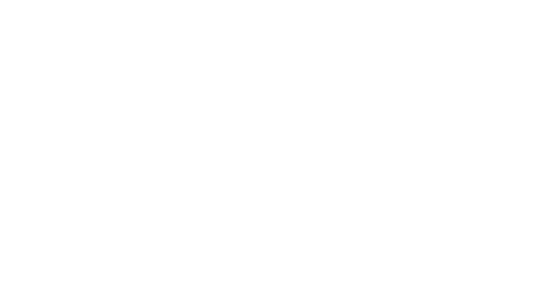 Picar Rental